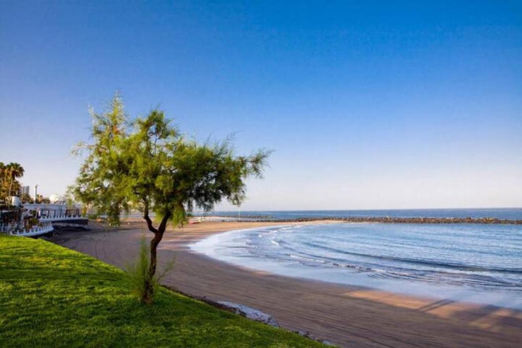 Beautiful Apartment Las Americas Playa Del Bobo Playa de las Americas  Exteriör bild